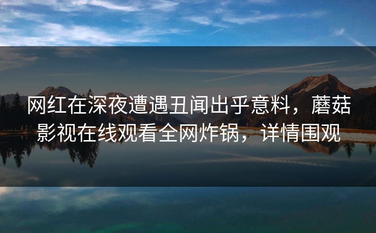 网红在深夜遭遇丑闻出乎意料，蘑菇影视在线观看全网炸锅，详情围观
