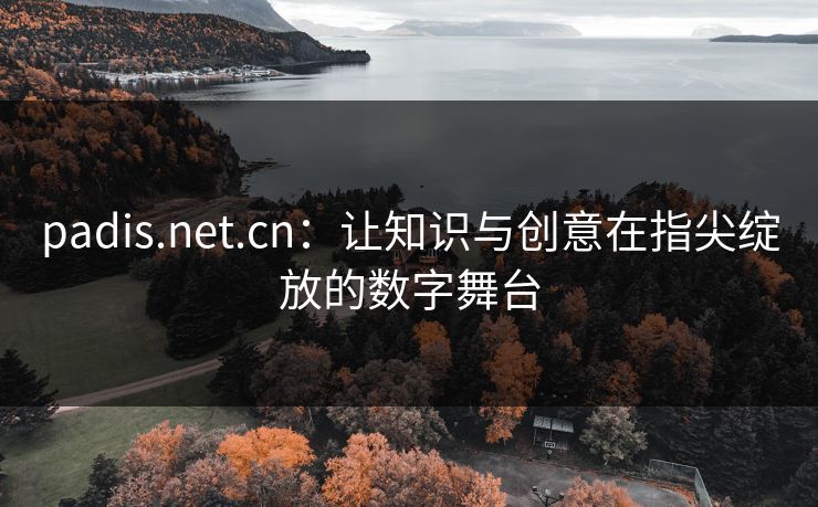padis.net.cn：让知识与创意在指尖绽放的数字舞台