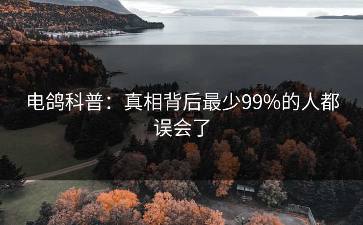 电鸽科普：真相背后最少99%的人都误会了