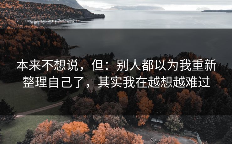 本来不想说，但：别人都以为我重新整理自己了，其实我在越想越难过
